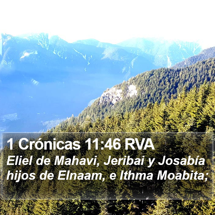 1 Crónicas 11:46 RVA Bible Study