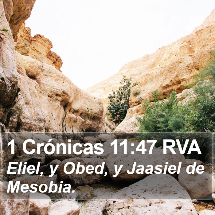 1 Crónicas 11:47 RVA Bible Study