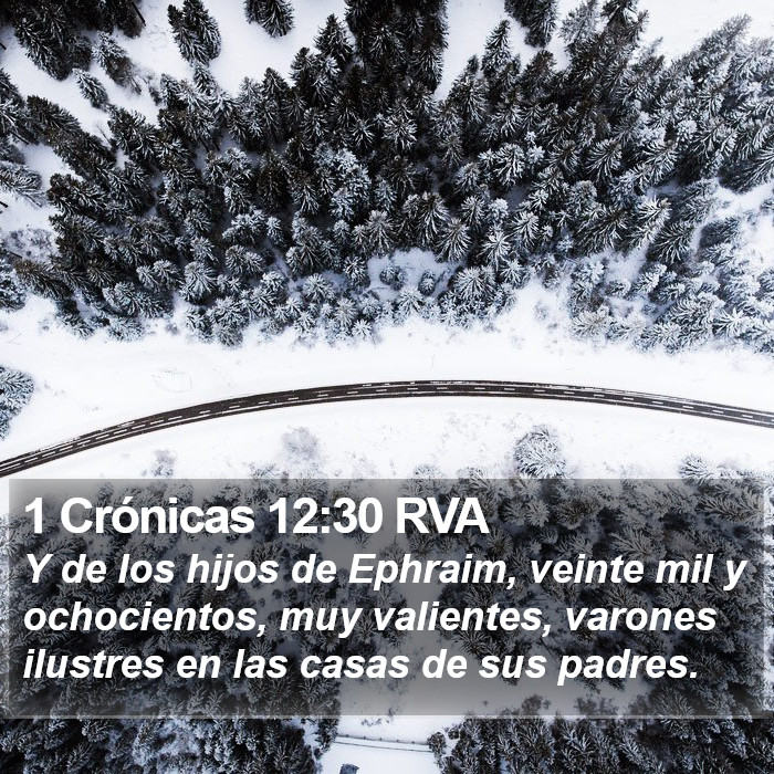 1 Crónicas 12:30 RVA Bible Study