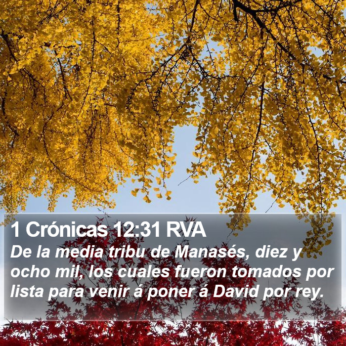 1 Crónicas 12:31 RVA Bible Study