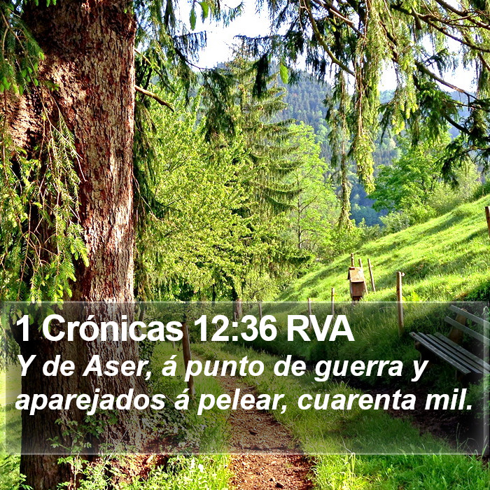 1 Crónicas 12:36 RVA Bible Study