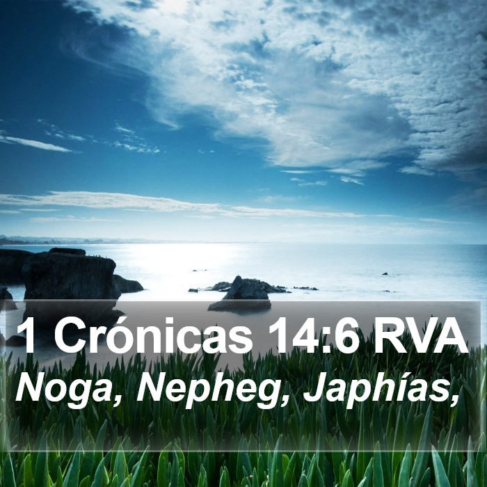 1 Crónicas 14:6 RVA Bible Study