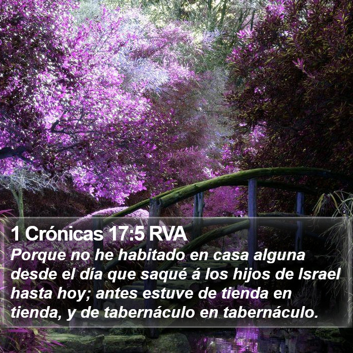 1 Crónicas 17:5 RVA Bible Study