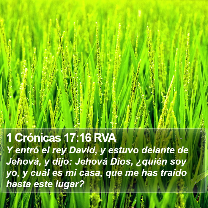 1 Crónicas 17:16 RVA Bible Study