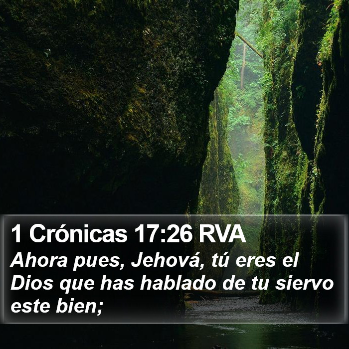 1 Crónicas 17:26 RVA Bible Study