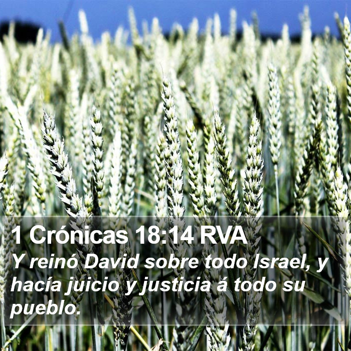 1 Crónicas 18:14 RVA Bible Study