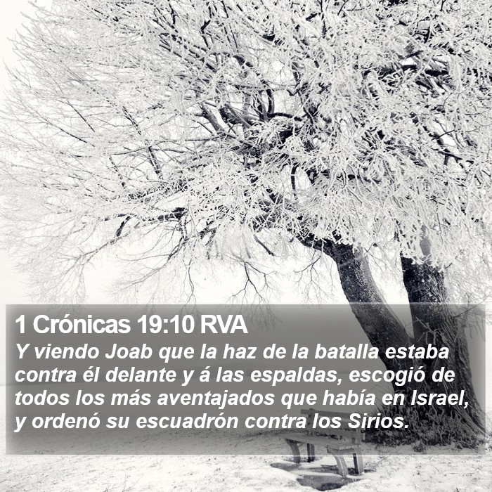 1 Crónicas 19:10 RVA Bible Study