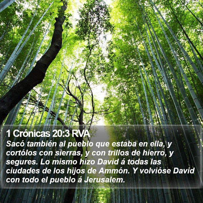 1 Crónicas 20:3 RVA Bible Study