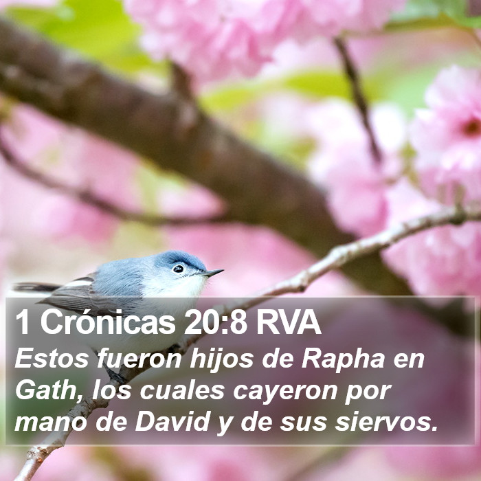 1 Crónicas 20:8 RVA Bible Study