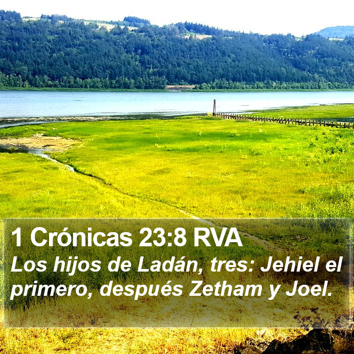 1 Crónicas 23:8 RVA Bible Study