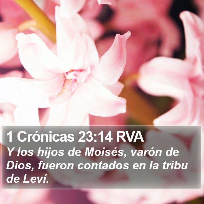 1 Crónicas 23:14 RVA Bible Study