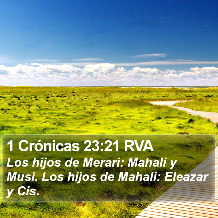 1 Crónicas 23:21 RVA Bible Study