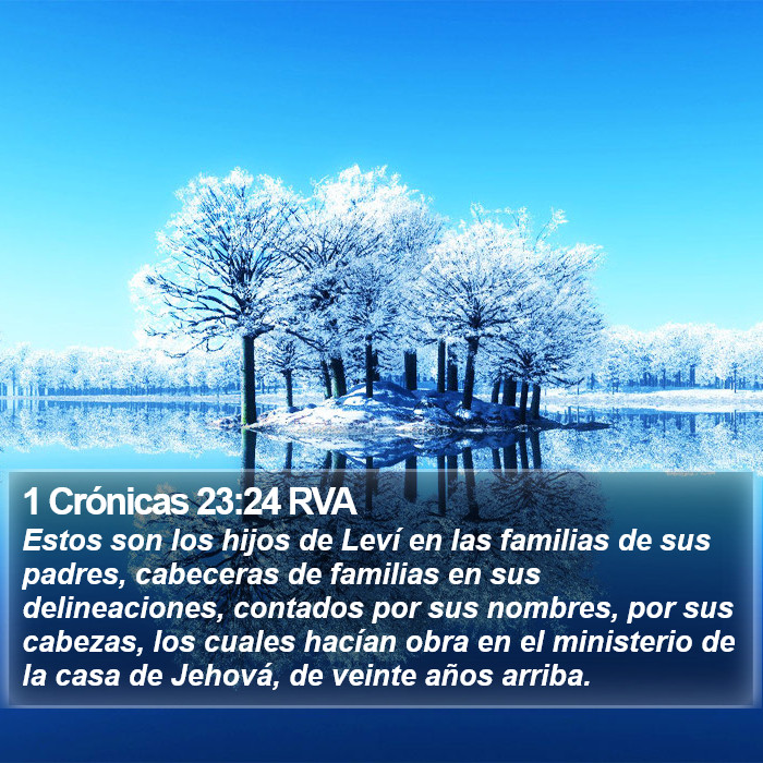 1 Crónicas 23:24 RVA Bible Study