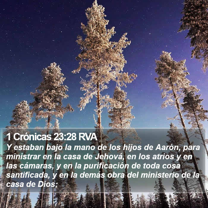 1 Crónicas 23:28 RVA Bible Study