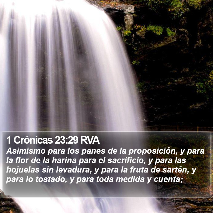 1 Crónicas 23:29 RVA Bible Study