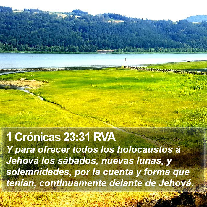 1 Crónicas 23:31 RVA Bible Study