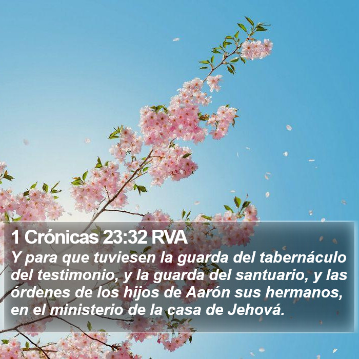 1 Crónicas 23:32 RVA Bible Study