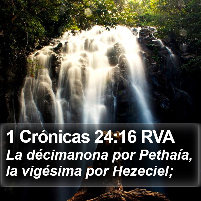 1 Crónicas 24:16 RVA Bible Study