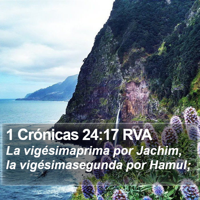 1 Crónicas 24:17 RVA Bible Study