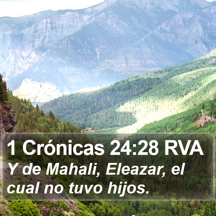 1 Crónicas 24:28 RVA Bible Study