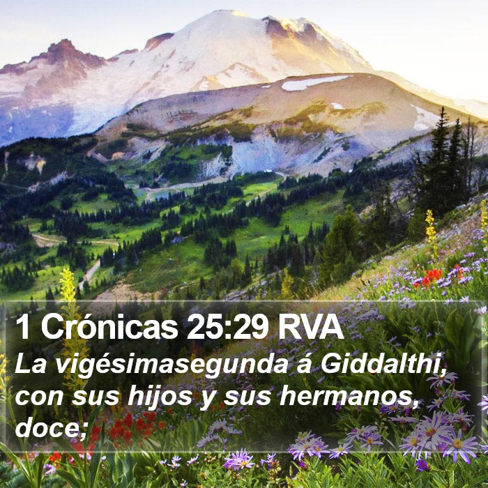 1 Crónicas 25:29 RVA Bible Study