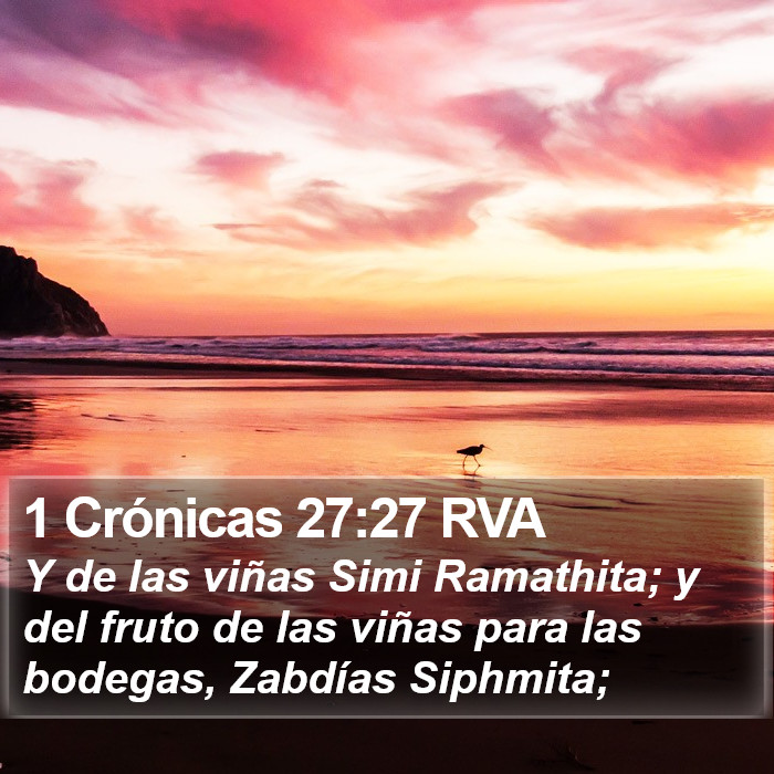 1 Crónicas 27:27 RVA Bible Study