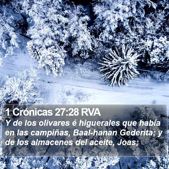 1 Crónicas 27:28 RVA Bible Study