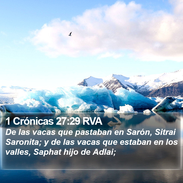 1 Crónicas 27:29 RVA Bible Study