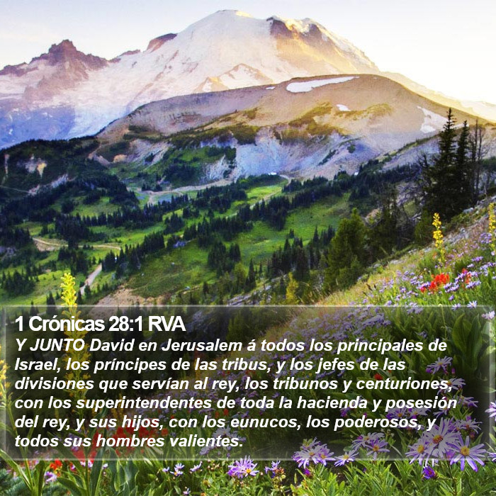 1 Crónicas 28:1 RVA Bible Study