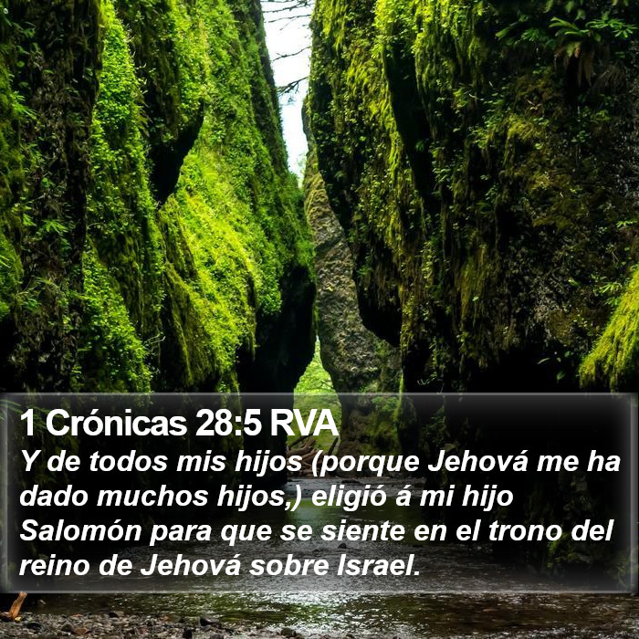 1 Crónicas 28:5 RVA Bible Study