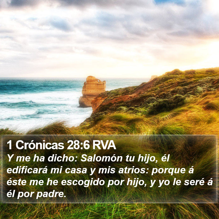 1 Crónicas 28:6 RVA Bible Study