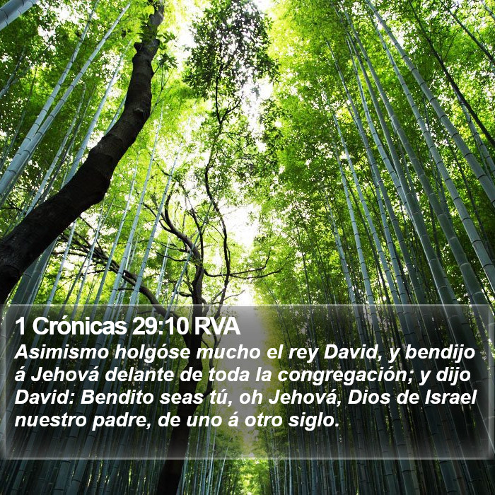 1 Crónicas 29:10 RVA Bible Study