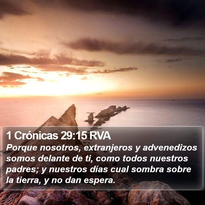 1 Crónicas 29:15 RVA Bible Study