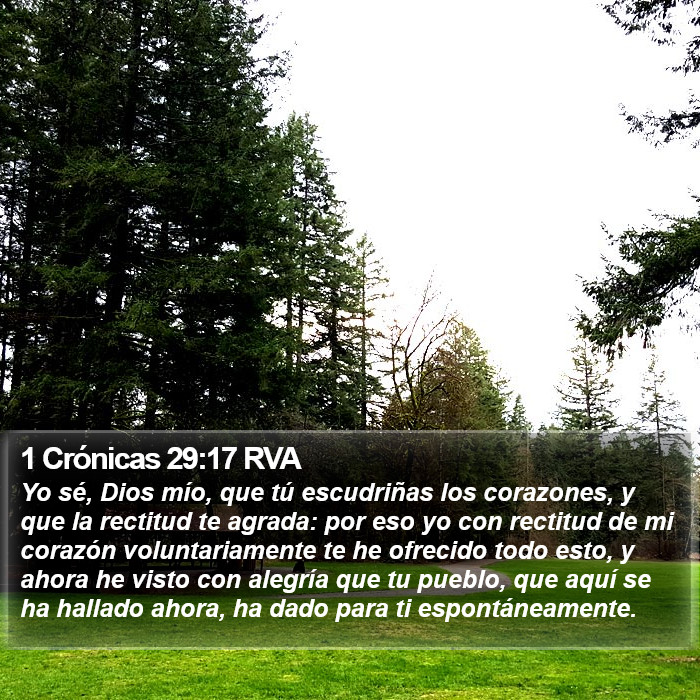 1 Crónicas 29:17 RVA Bible Study