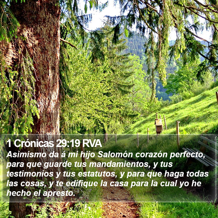 1 Crónicas 29:19 RVA Bible Study