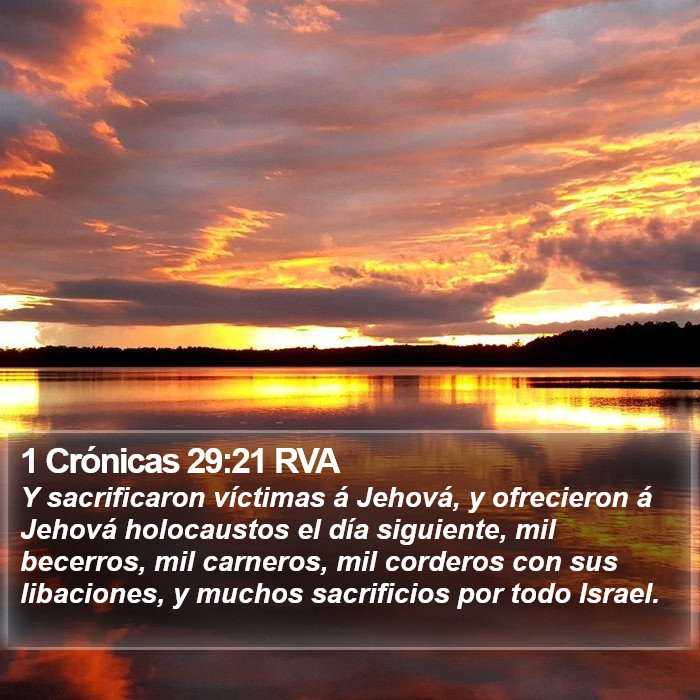 1 Crónicas 29:21 RVA Bible Study