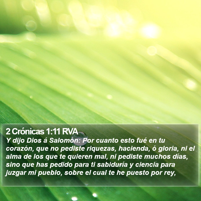 2 Crónicas 1:11 RVA Bible Study