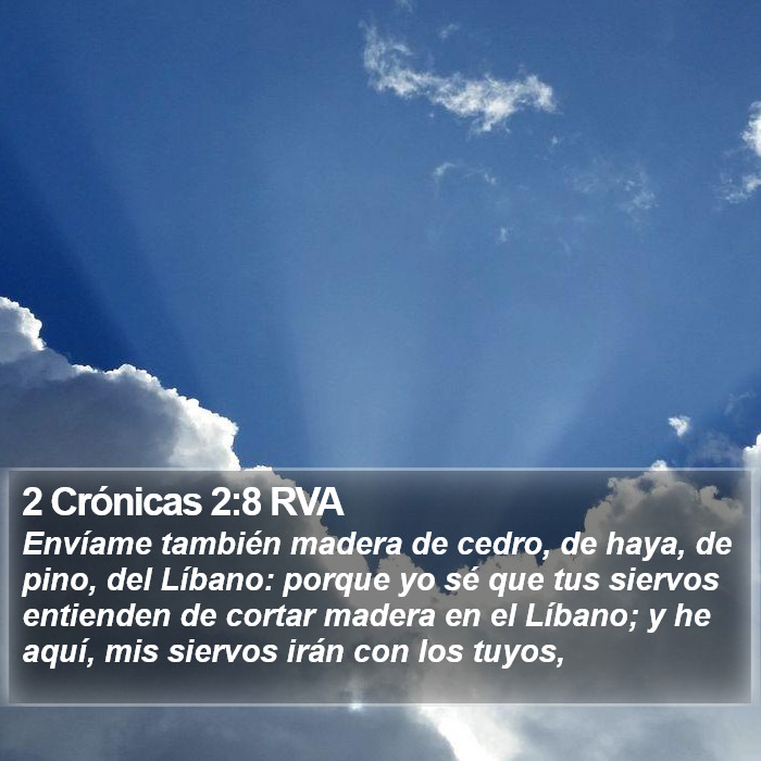 2 Crónicas 2:8 RVA Bible Study