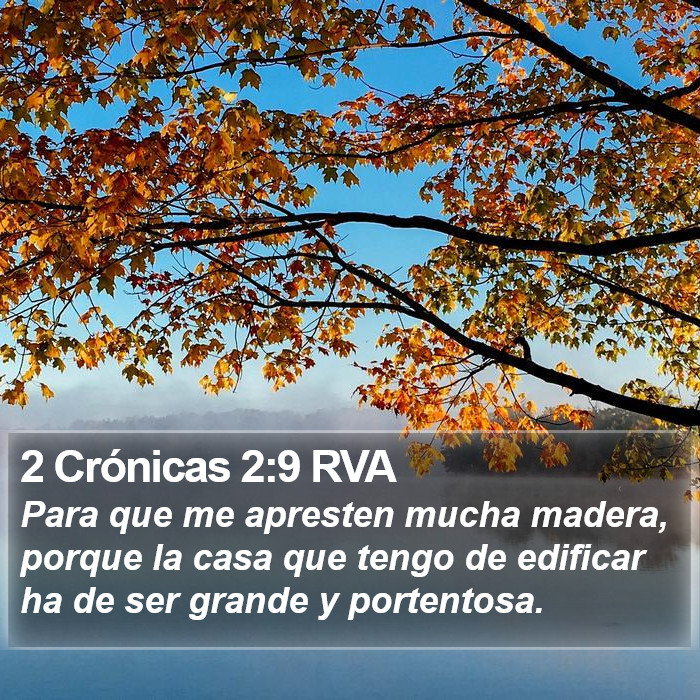 2 Crónicas 2:9 RVA Bible Study