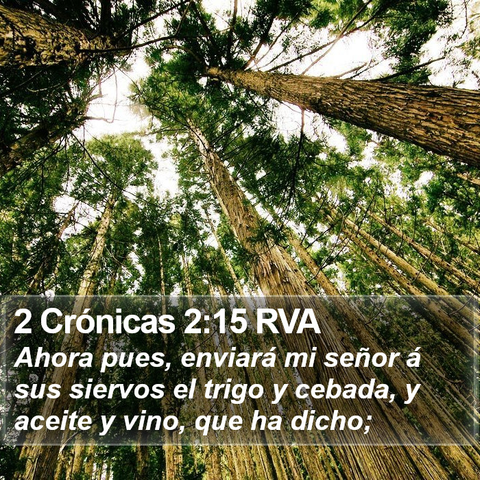 2 Crónicas 2:15 RVA Bible Study