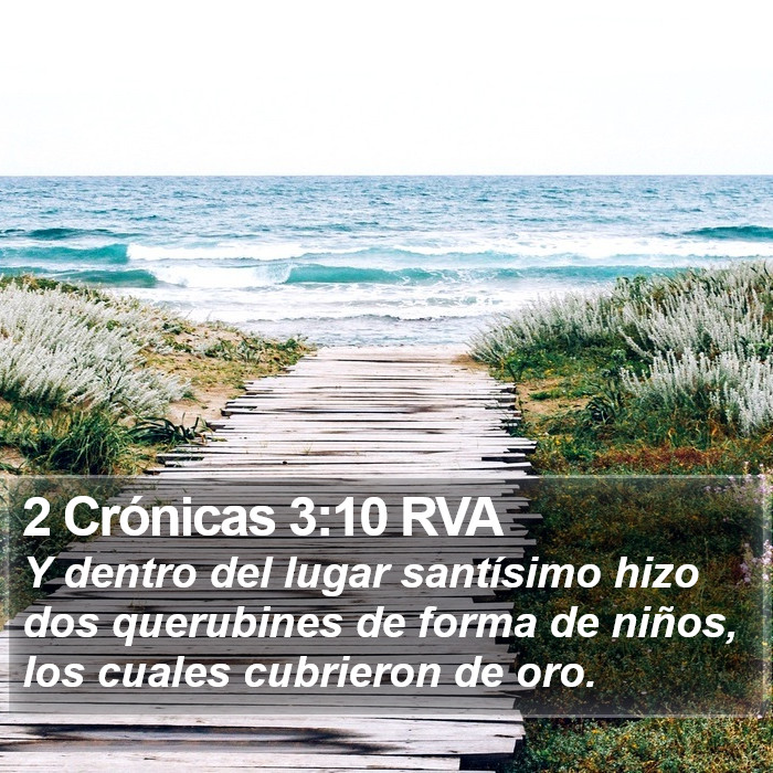 2 Crónicas 3:10 RVA Bible Study