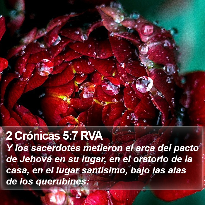 2 Crónicas 5:7 RVA Bible Study