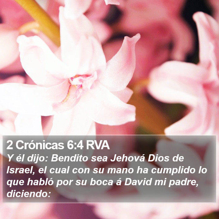 2 Crónicas 6:4 RVA Bible Study