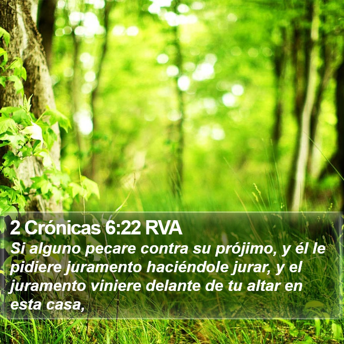 2 Crónicas 6:22 RVA Bible Study