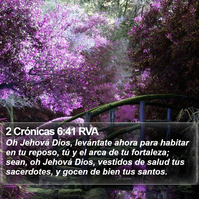 2 Crónicas 6:41 RVA Bible Study