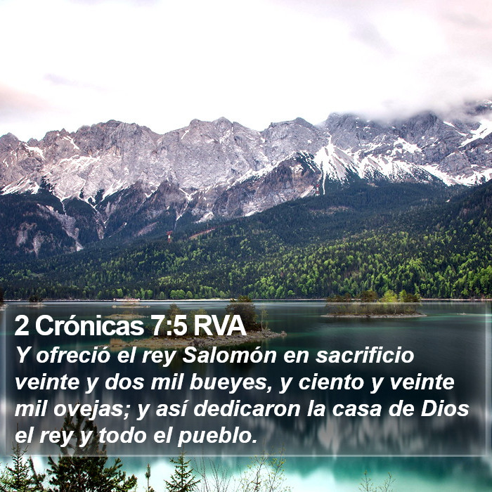 2 Crónicas 7:5 RVA Bible Study