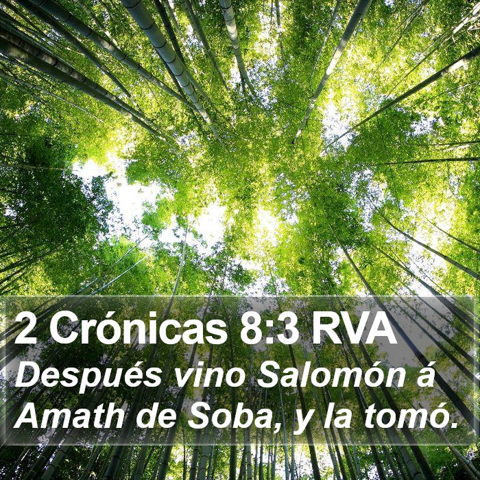 2 Crónicas 8:3 RVA Bible Study