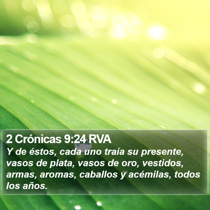 2 Crónicas 9:24 RVA Bible Study