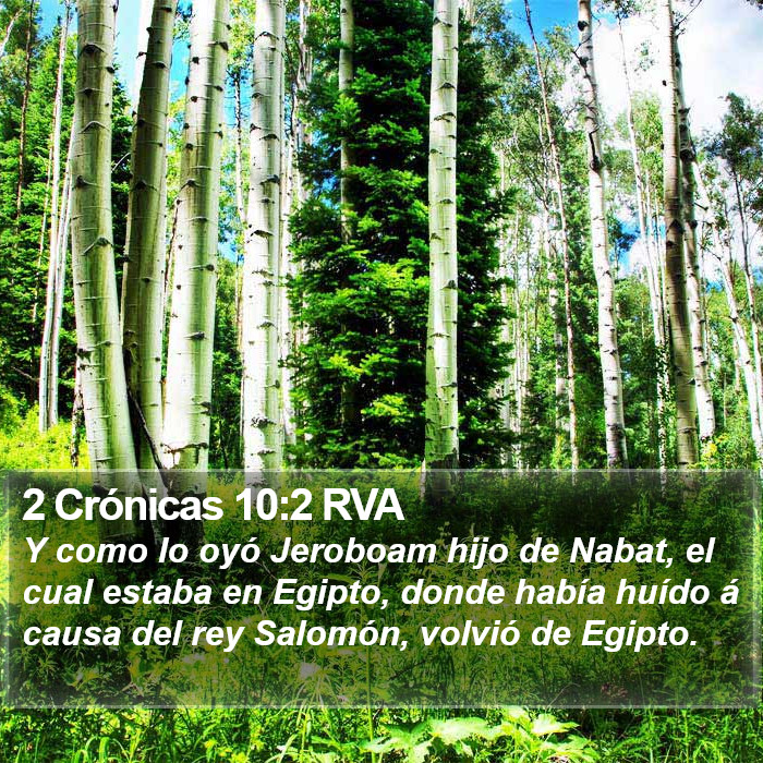 2 Crónicas 10:2 RVA Bible Study