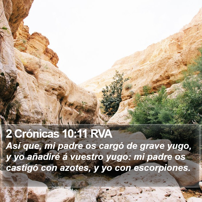 2 Crónicas 10:11 RVA Bible Study